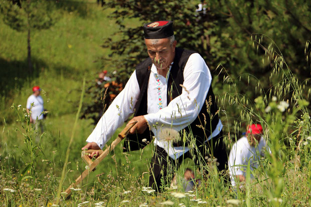 Чачанин најбољи косач