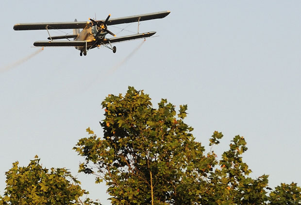 За викенд најављено запрашивање комараца у Бањалуци 