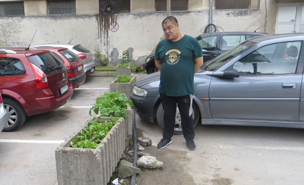 Лук и кинески купус у српским жардињерама