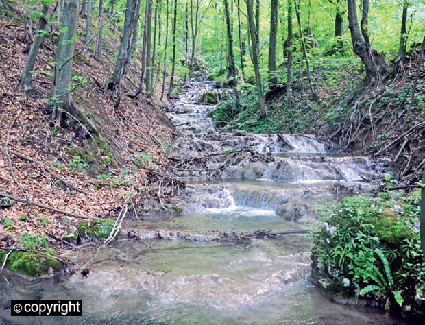 Вилински Бели изворац у хомољском красу