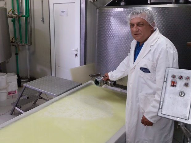 Дневно преради чак четири тоне млека