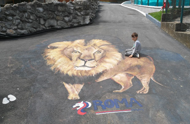 Сликај се са лавом у Бео Зоо врту – каквим лавом? СТРАШНИМ ЛАВОМ!