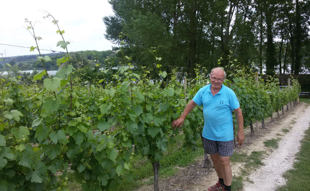 Царство вина на обали језера