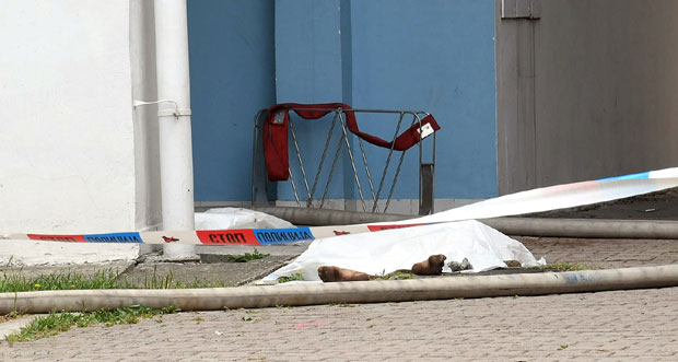 НОВИ ДЕТАЉИ НЕЗАПАМЋЕНЕ ТРАГЕДИЈЕ НА БЕЖАНИЈСКОЈ КОСИ: Изгубила бебу, па убила ћерку и себе; Комшије покушале да је одговоре од ужасне намере