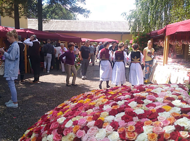 ФЕСТИВАЛ ЦВЕЋА У ЛИПОЛИСТУ: Руже спремне за Русију
