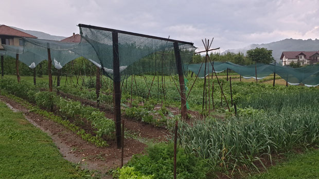 Снажно невреме у Пријепољу, без струје више од 10.000 људи; РХМЗ издао упозорење о наставку падавина (ФОТО/ВИДЕО)