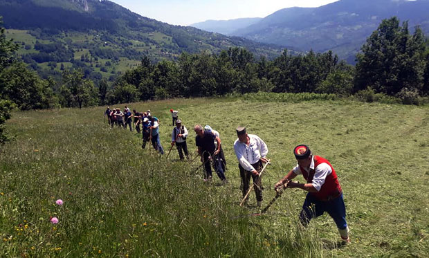 Моба окупила косце на тромеђи