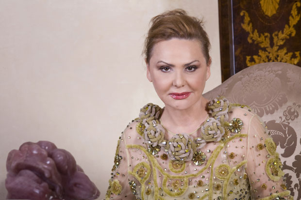 Витешка борба за уметност