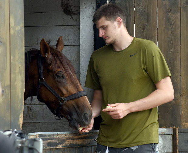 НБА ЗВЕЗДА НА БЕОГРАДСКОМ ХИПОДРОМУ: Јокић тражи мир међу коњима (ФОТО)