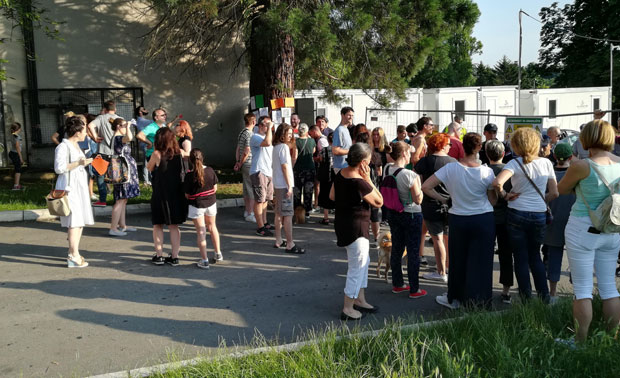 Сеча стабала у Кошутњаку навела је суграђане на протест