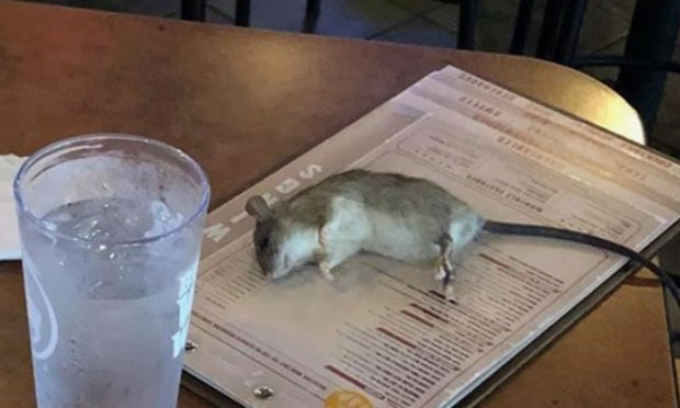 ЈОШ ЈЕ МРДАО НОЖИЦАМА: Жена наручила храну, а онда је уследио шок