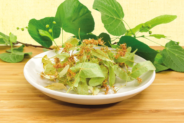 Липа снижава притисак и чисти крвне судове