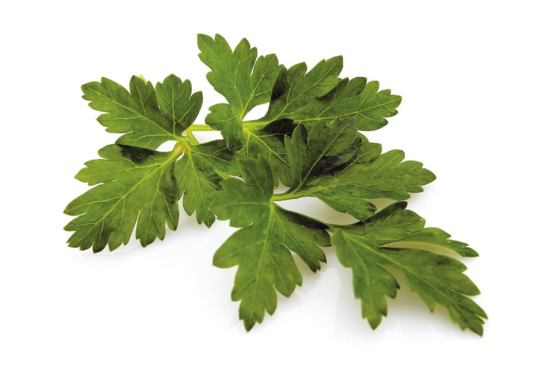 Решите се флека од сунца першуном