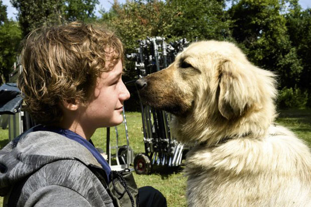 „СТЕЛА“ ПРИЧА ПОВРАТКА У ЖИВОТ: У Скопљу почело снимање првог македонског дугометражног филма намењеног деци из зелене продукције