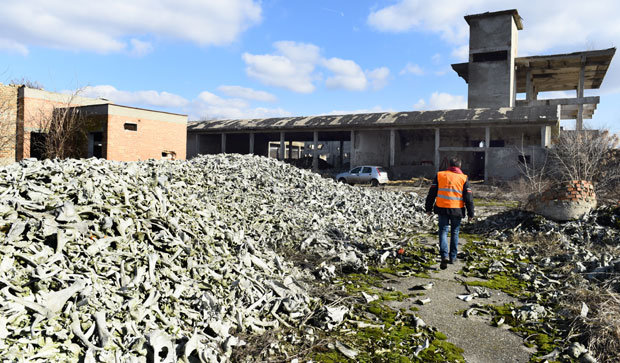 Гробље костију биће очишћено