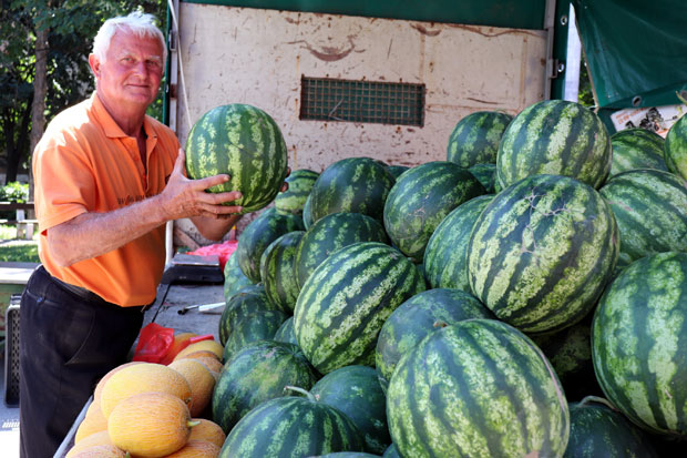 Јагодина: Стижу лубенице са њива, цена 80 динара