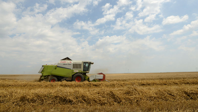 Блатњаве њиве закочиле комбајне