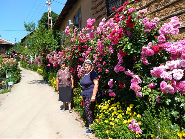 Поглед пуца на 1.200 ружа
