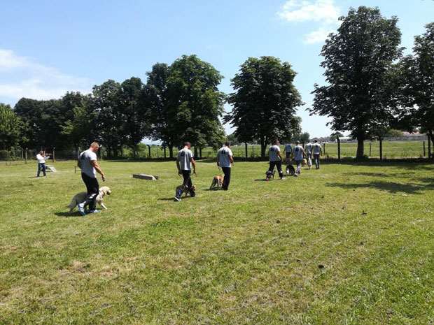 Осуђеници чувају и дресирају псе