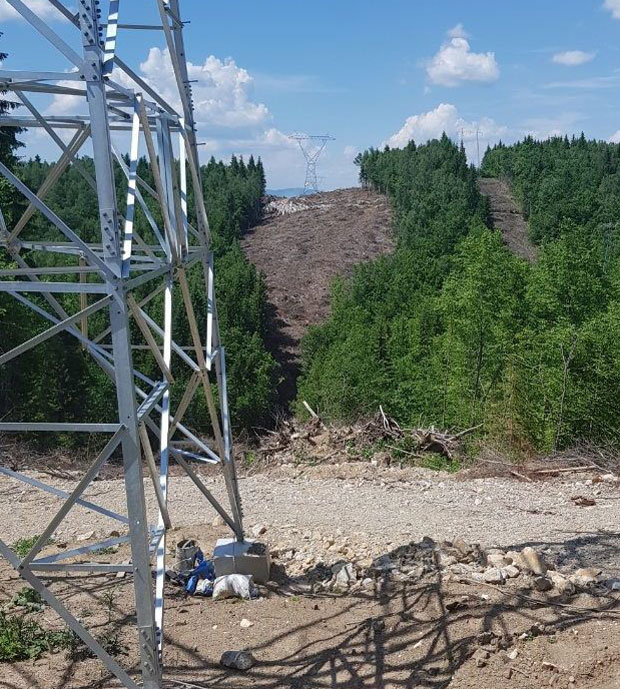 Сумњива додела шуме