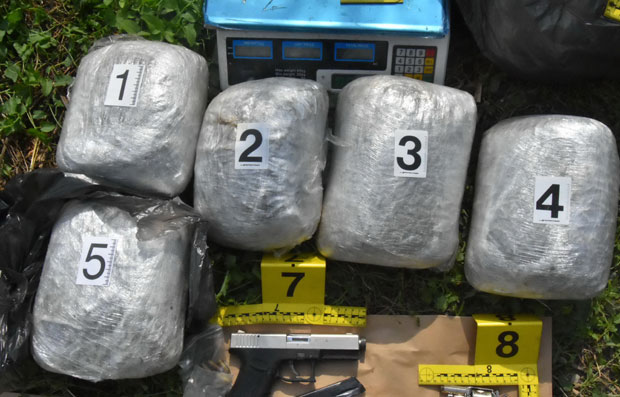 Нови Сад: Станови пуни дроге