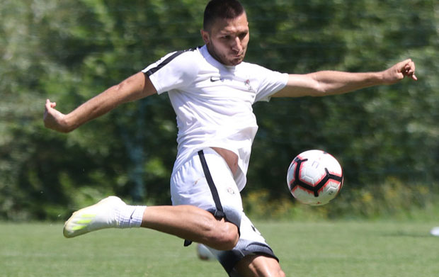 ПАРТИЗАН ЈЕДИНА ЖЕЉА: Како је традиција породице Лутовац победила иностране опције