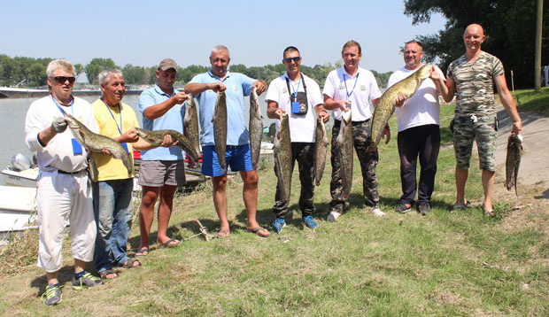 БУЋКА КАО СРПСКИ БРЕНД: Прво СП у лову сома бућком СРБИЈА 2019 одржаће се у три града