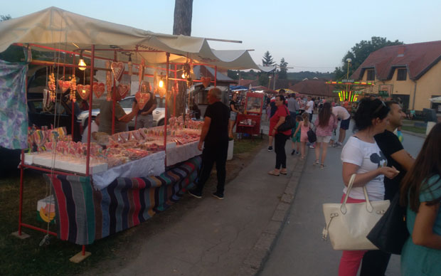 ИВАЊДАНСКИ ВАШАР: Саборују и уживају, Жикицу архивирају