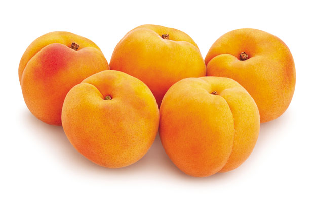 Кајсија за препланули тен