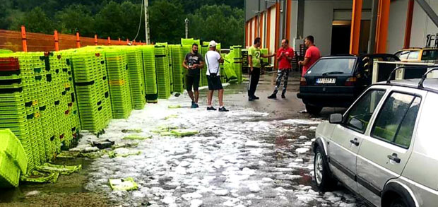 СНАЖНО НЕВРЕМЕ ПРОТУТЊАЛО БРОДАРЕВОМ: Ветар носио све пред собом, град опустошио малињаке и усеве (ФОТО + ВИДЕО)