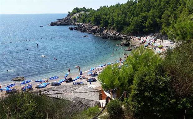 НЕСВАКИДАШЊИ ДОГАЂАЈ У СУТОМОРУ: Жену ујео коњ док се враћала са плаже