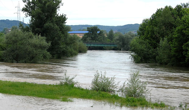 Вредности пиралена у границама максимално дозвољених