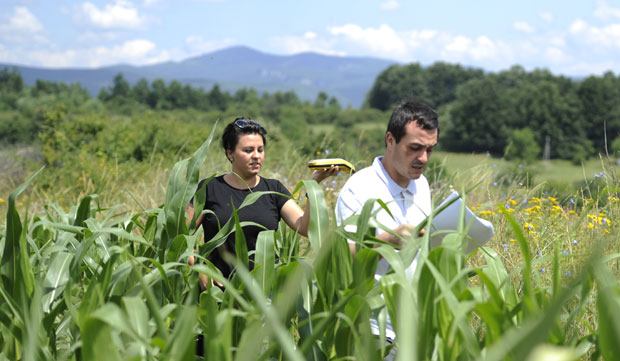 Бесповратна средства земљорадничким и пољопривредним задругама