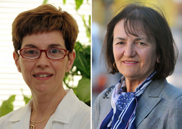 Неда Бокан поднела оставку, Ана Шијачки нови председник Комисије за акредитацију и проверу квалитета