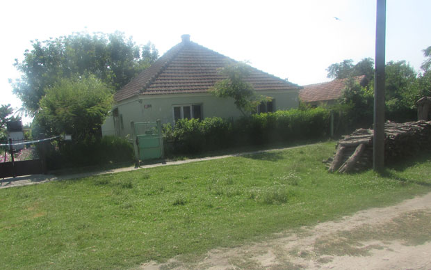 НОВИ ДЕТАЉИ УБИСТВА КОД ЗРЕЊАНИНА: Комшију ударио жарачем у главу