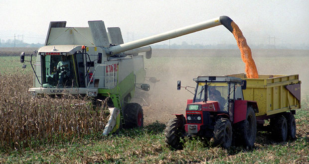 Узурпатори државног земљишта пуне буџет града