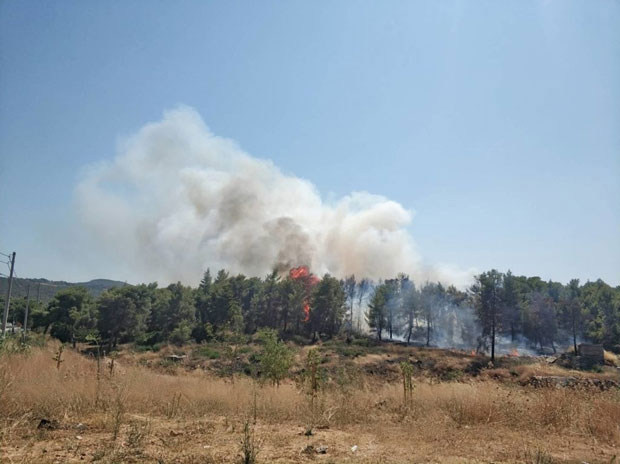 Шумски пожар код Атине поново прети домовима