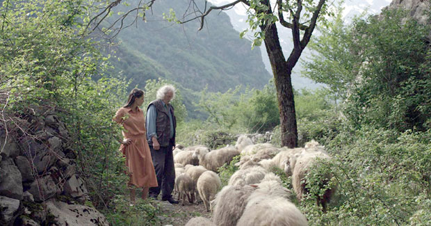 Палићки фестивал: Живот на платну