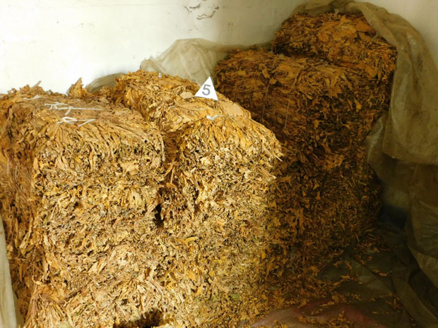 Заплењено 230 кг резаног дувана