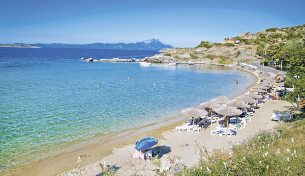 Летовање бира и политика