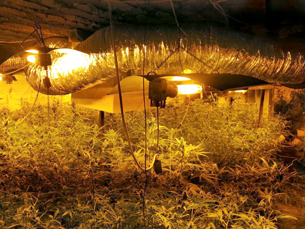 КАО У ФИЛМОВИМА: Мислили су да је у питању хидраулични сто, а онда је полиција остала у шоку (ФОТО+ВИДЕО)