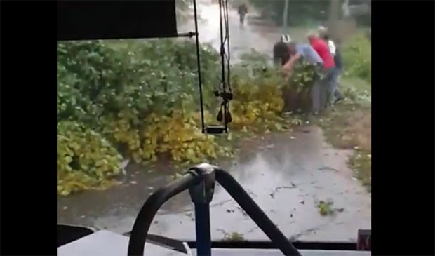 НЕВРЕМЕ У КРУШЕВЦУ: Гром ударио оборио дрво, путници померали стабло насред пута (ВИДЕО)