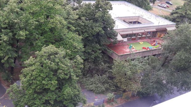 ПУКОМ СРЕЋОМ ИЗБЕГНУТА ТРАГЕДИЈА: У дворишту вртића пало дрво (ФОТО)