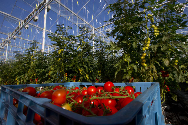 Олакшање за произвођаче органске хране у Републици Српској приликом сертификације