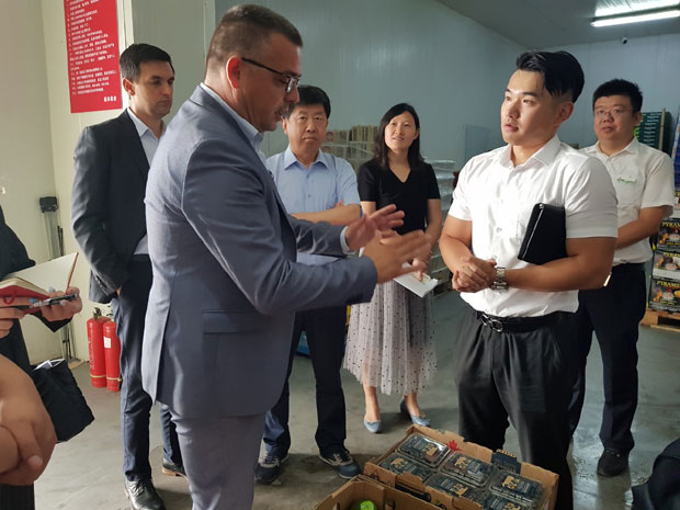 ШПИЈУНКА: Купине као наше