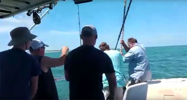 ОСВЕТА АЈКУЛЕ: Угризла рибара који ју је уловио (ВИДЕО)