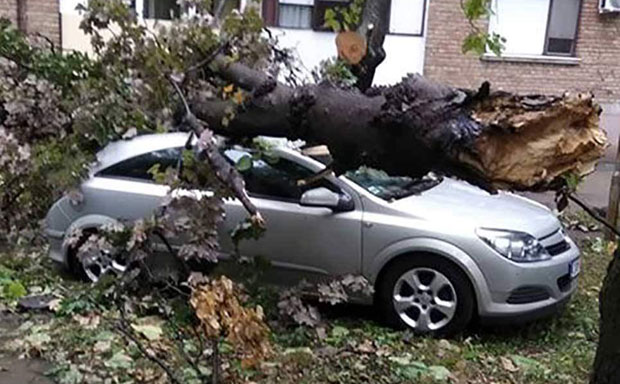 Још се пописује почињена штета, последица невремена и догодине