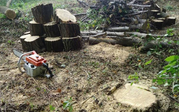 Љубавника наговарала да јој убије мужа, добила 10 година робије