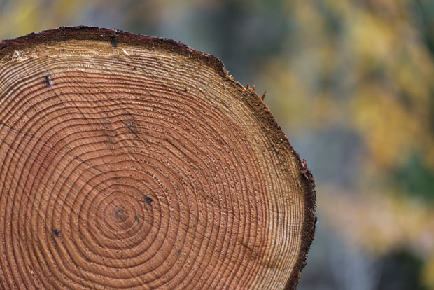 Неки од знакова да старимо