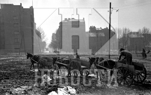 Београдске приче: Таљиге на Ташмајдану